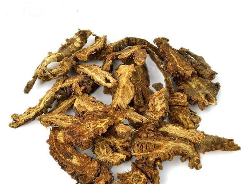 羌活