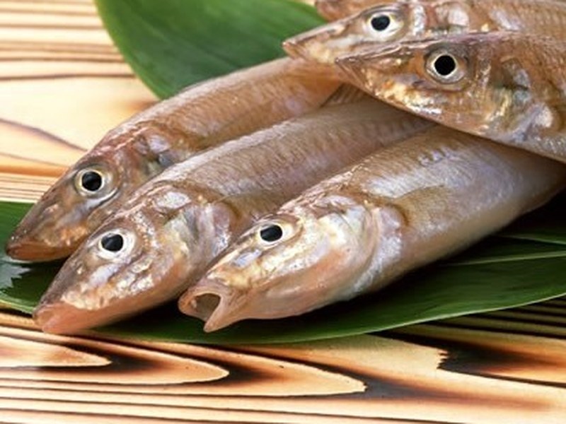沙尖鱼