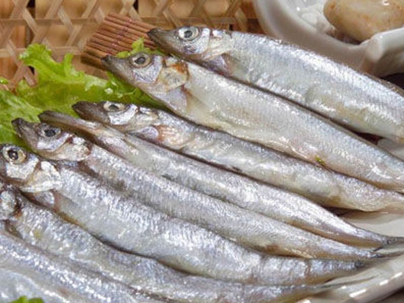 多春鱼