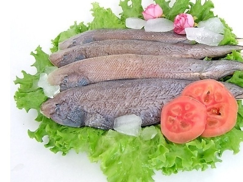 龙利鱼