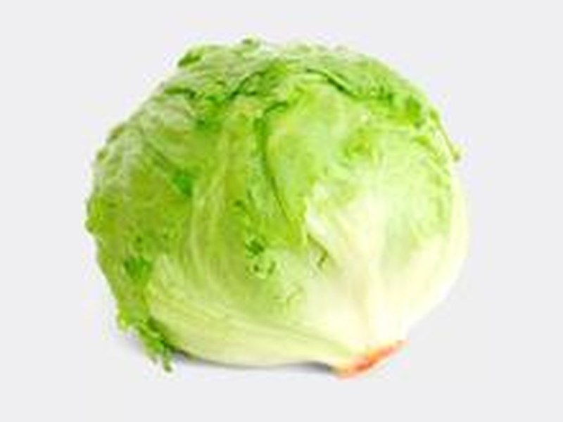 圆生菜