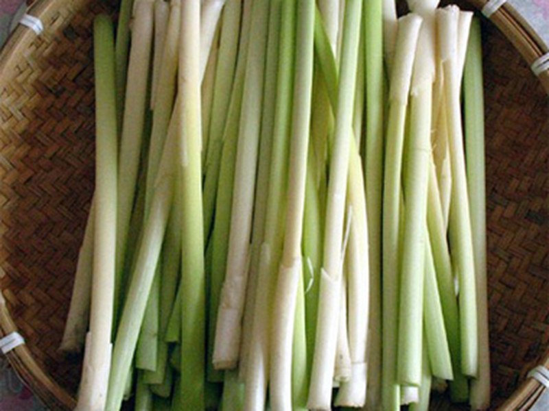 蒲菜