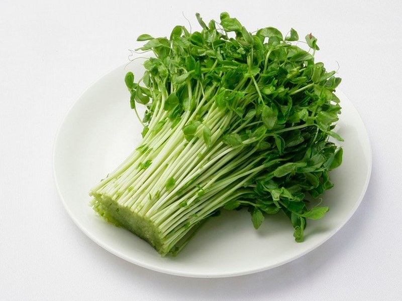 豌豆苗