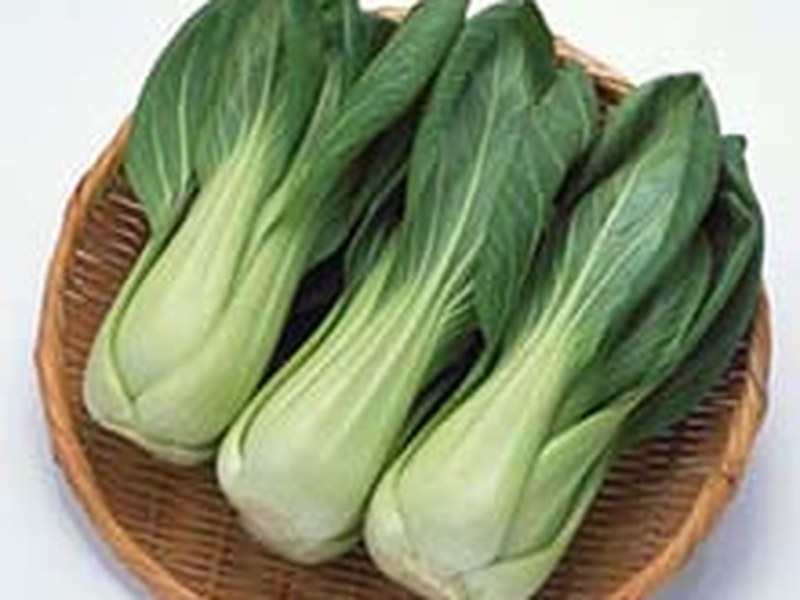 上海青