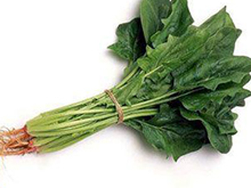 菠菜