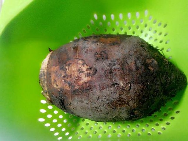 【香煎芋头饼】步骤1