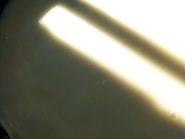 【鸡蛋葱花饼】步骤2