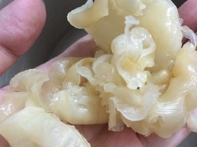 【花胶海底椰瑶柱排毒汤】步骤3