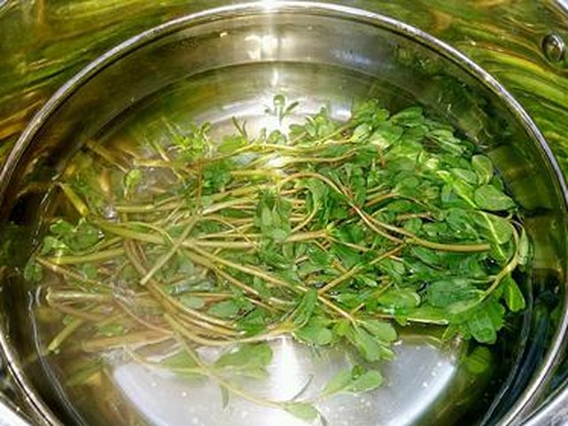 【马齿苋蒜香鸡蛋饼】步骤2