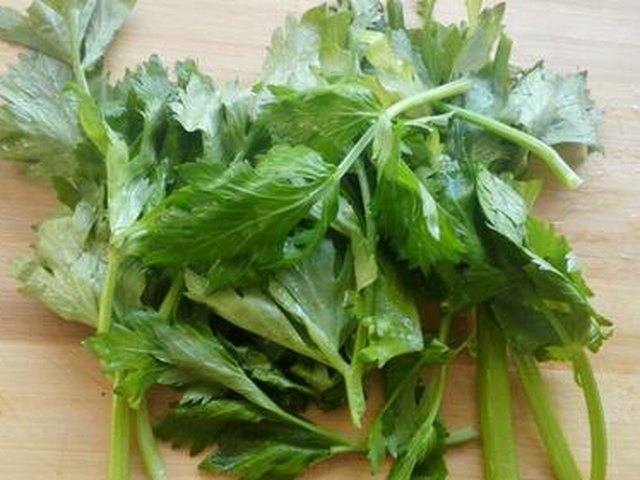 【玉米面菜饼子】步骤1