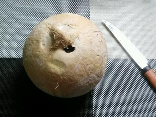 【椰汁西米糕】步骤3