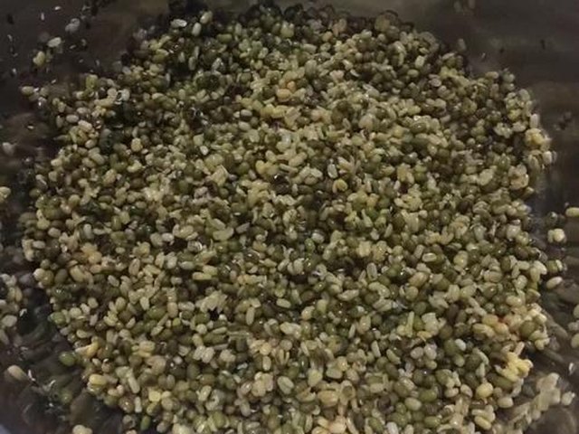 【绿豆糕】步骤1