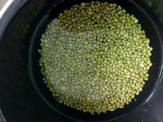 【绿豆沙馅】步骤1