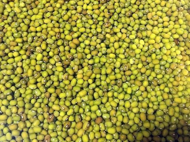 【纯手工绿豆糕（原味低糖版）】步骤2
