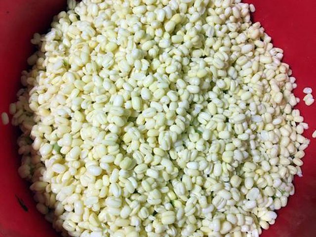 【纯手工绿豆糕（原味低糖版）】步骤4