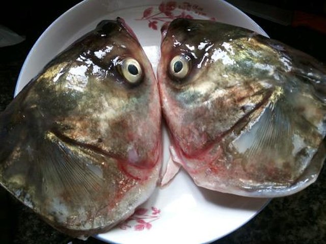 【鱼头豆腐汤】步骤1