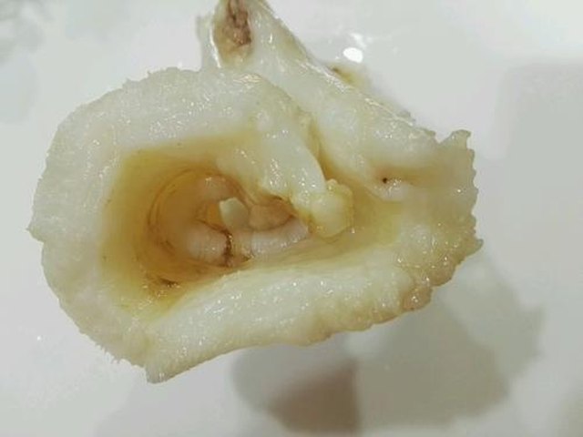 【新西兰花胶炖鸡汤】步骤2
