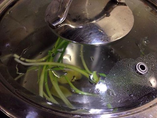 【药炖智利花胶鸡汤】步骤3