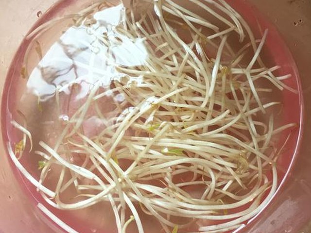 【绿豆芽老友粉】步骤2