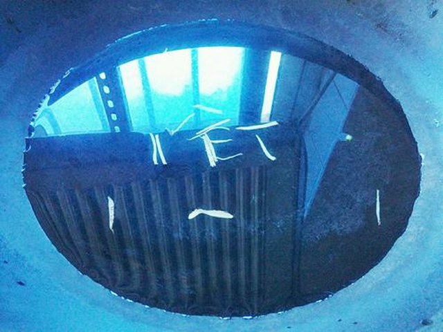 【木耳菜豆腐汤】步骤2