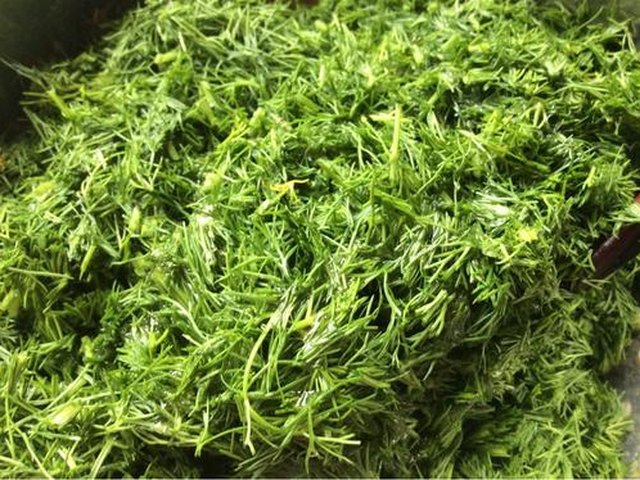【茴香苗素水饺】步骤2