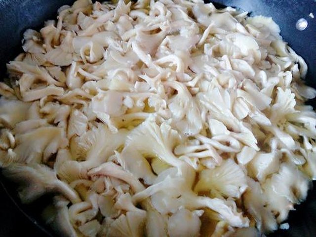 【榆黄菇猪肉饺子】步骤3