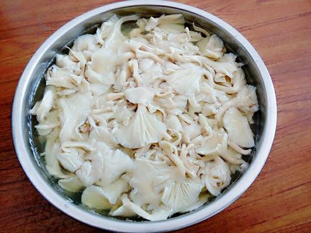 【榆黄菇猪肉饺子】步骤4