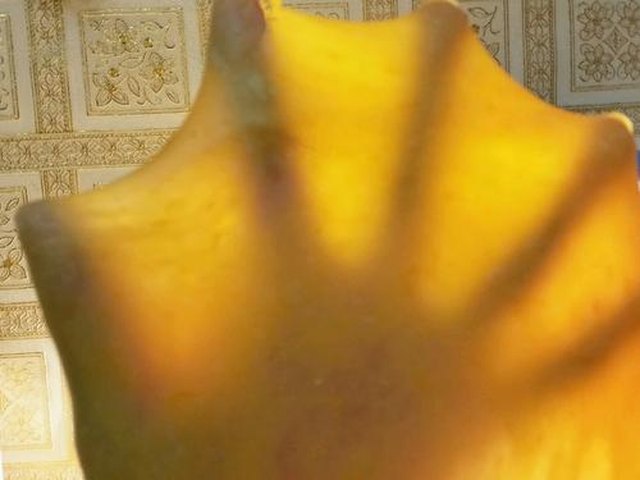 【南瓜煉奶土司】步骤3