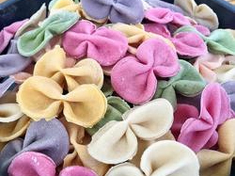 彩色蝴蝶面