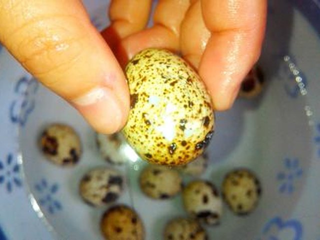 【卤鹌鹑蛋】步骤4