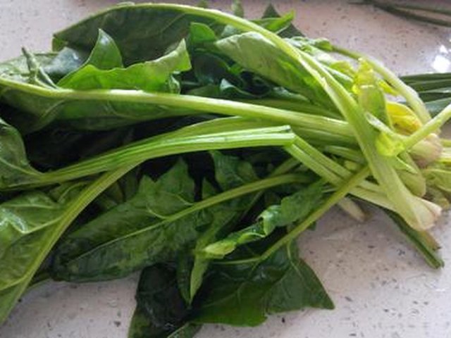 【菠蒜红油澡(芥末味)】步骤2