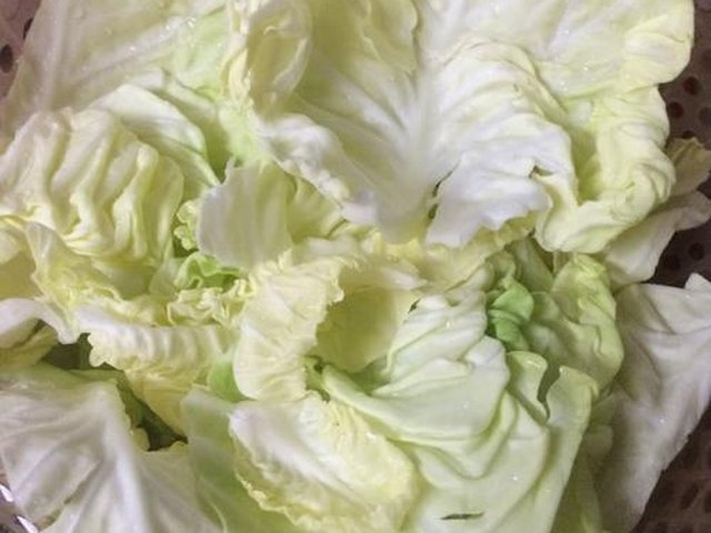 【炝拌圆白菜】步骤2