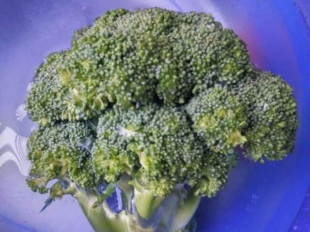 【白灼西兰花】步骤1
