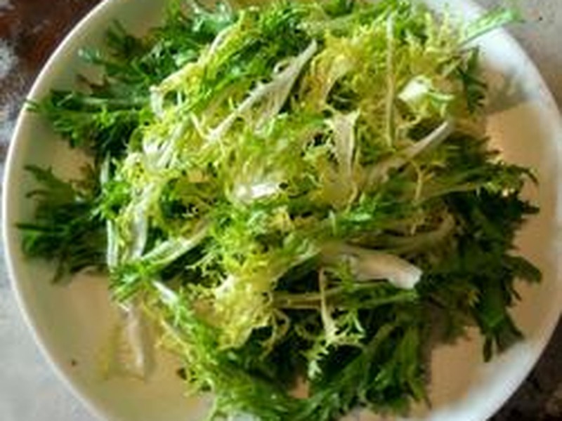 拌苦菊