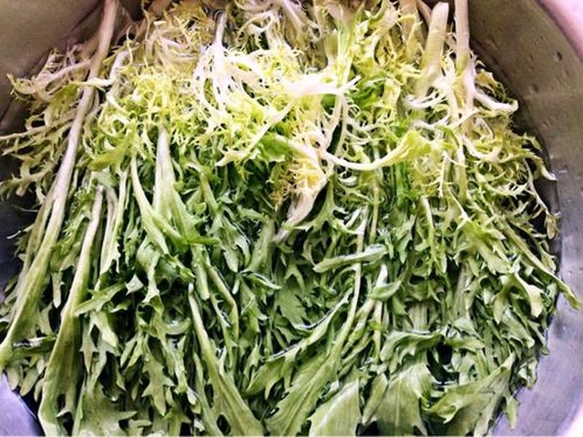 【凉拌苦菊菜】步骤1