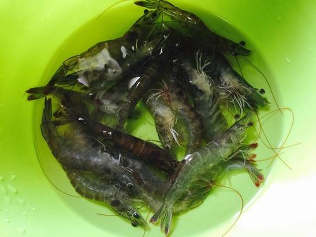 【粤式白灼虾】步骤1