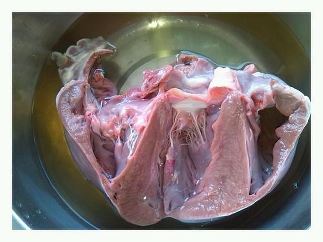 【凉拌猪心肉】步骤1