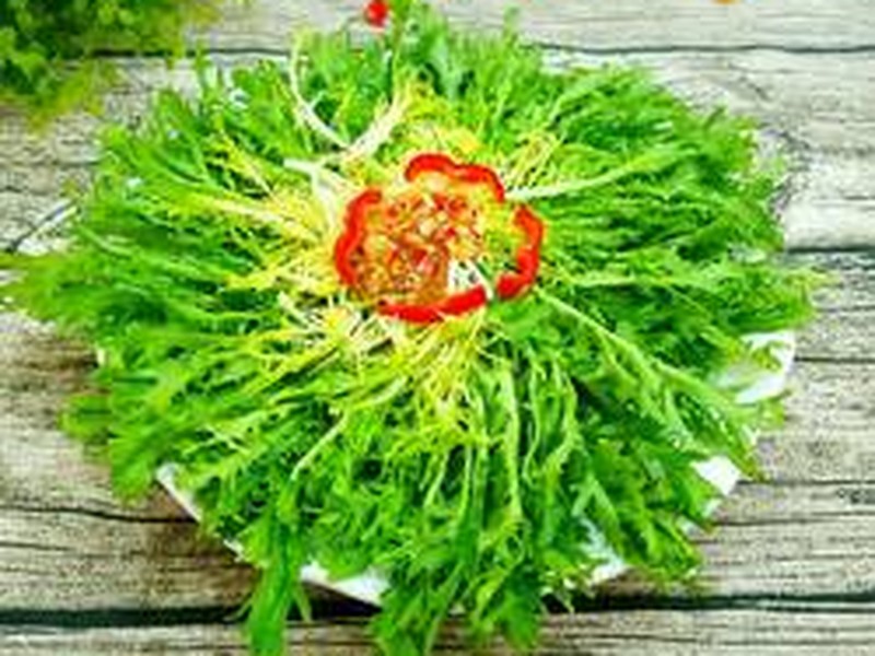 凉拌苦菊
