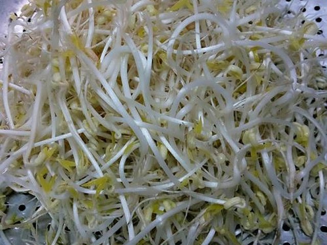 【凉拌绿豆芽】步骤1