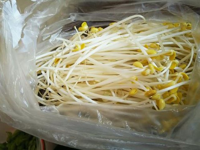 【凉拌豆芽】步骤1