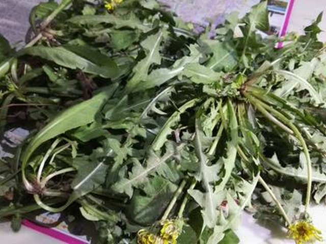 【凉拌蒲公英菜】步骤1