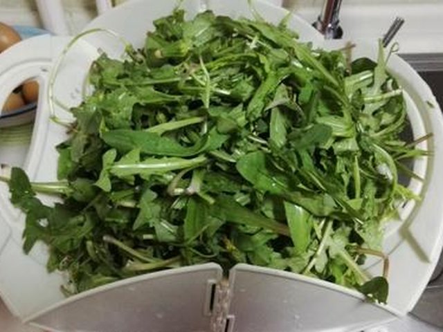 【凉拌蒲公英菜】步骤2