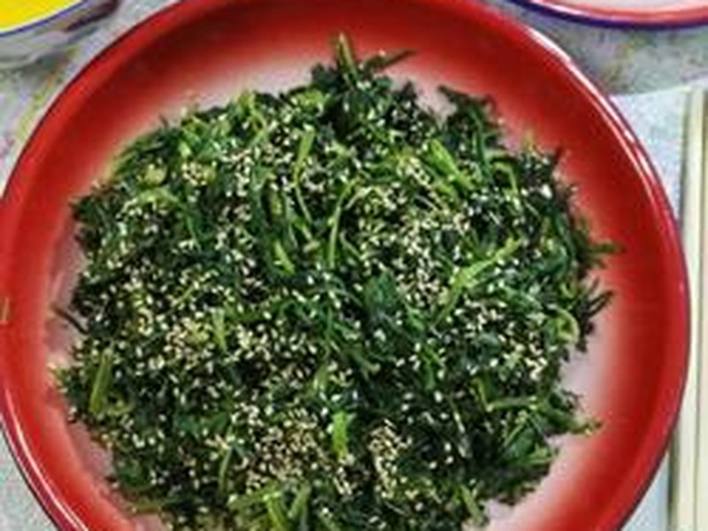 凉拌蒲公英菜
