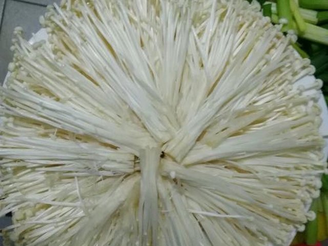 【蒜蓉蚝油蒸金针菇】步骤2