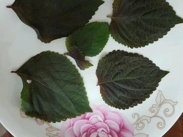 【清蒸黄花鱼】步骤2