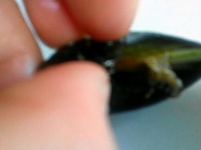 【清蒸青口贝】步骤2