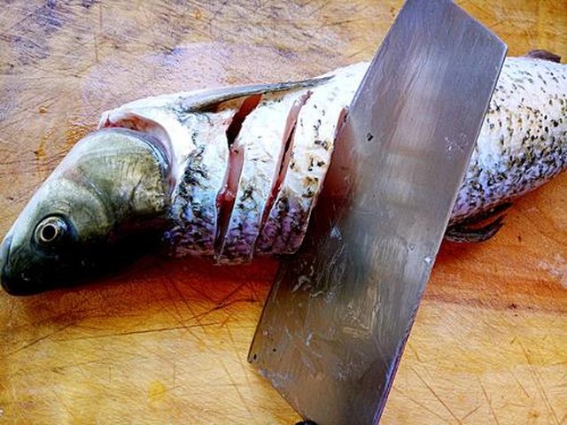 【孔雀开屏鱼】步骤2