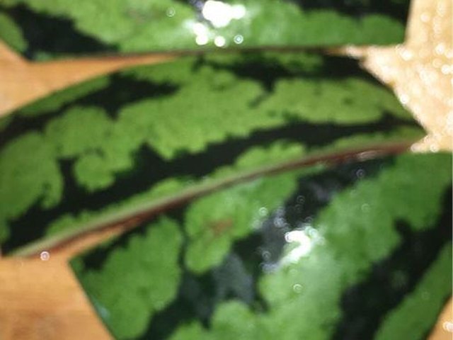 【《清蒸西瓜皮》】步骤1