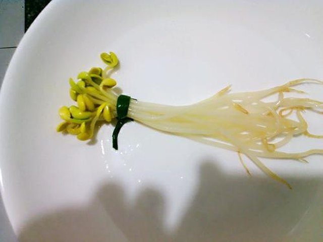 【豆芽酿】步骤4