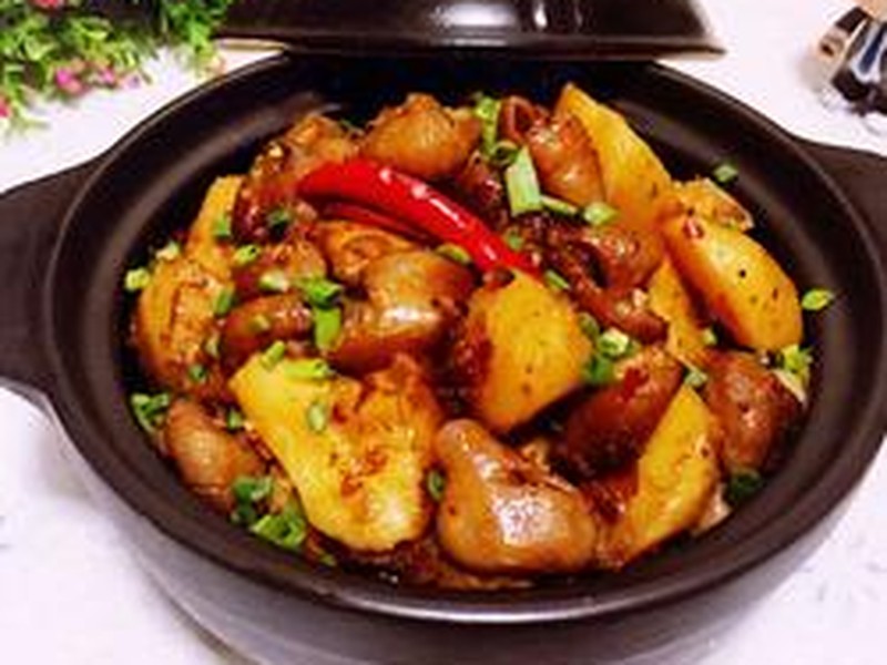 红烧肥肠